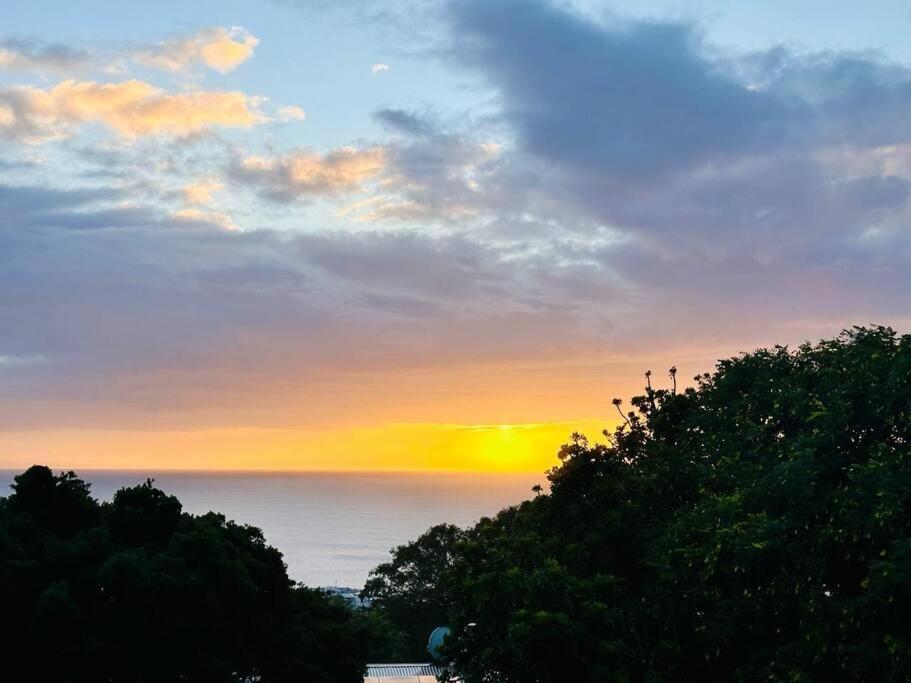 Sea View Sun Centre Apartment เพลตเตนเบิร์กเบย์ ภายนอก รูปภาพ